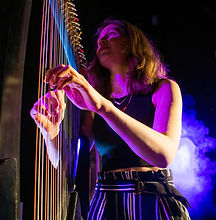 Ruth Lee Reimagined Electric Delta Harp Music