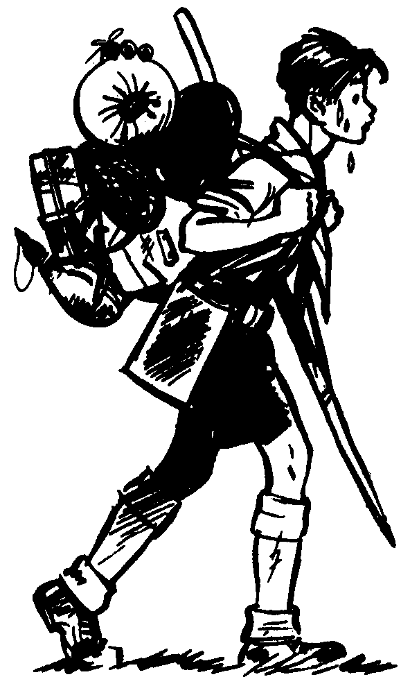 sac-scout3.gif