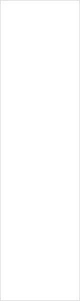 Banner 60x1600.gif
