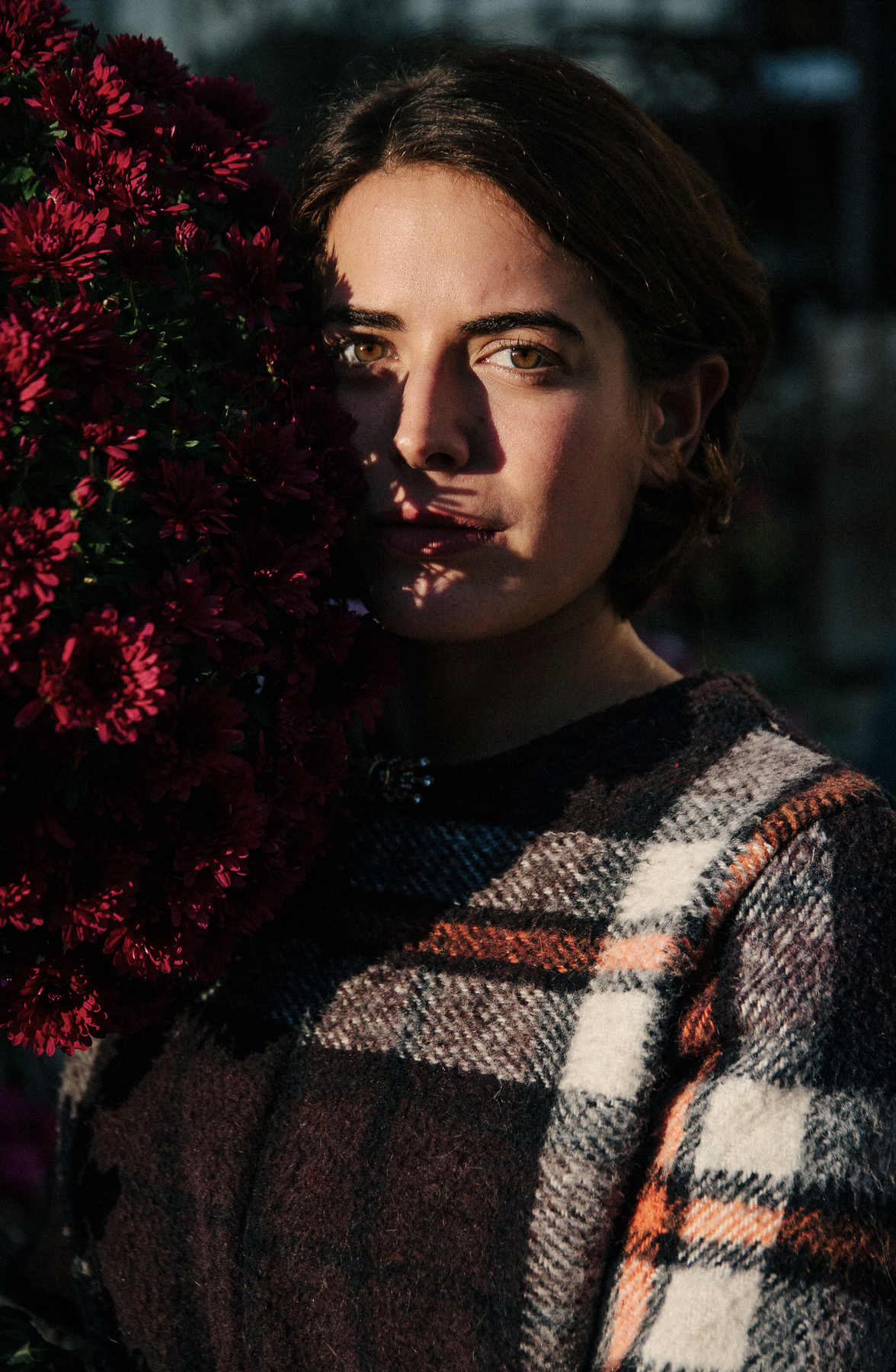 Collaboration avec Anne Freret