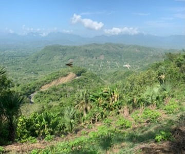 Documentation and Development of Pedagogical Grammars of Mayan Languages