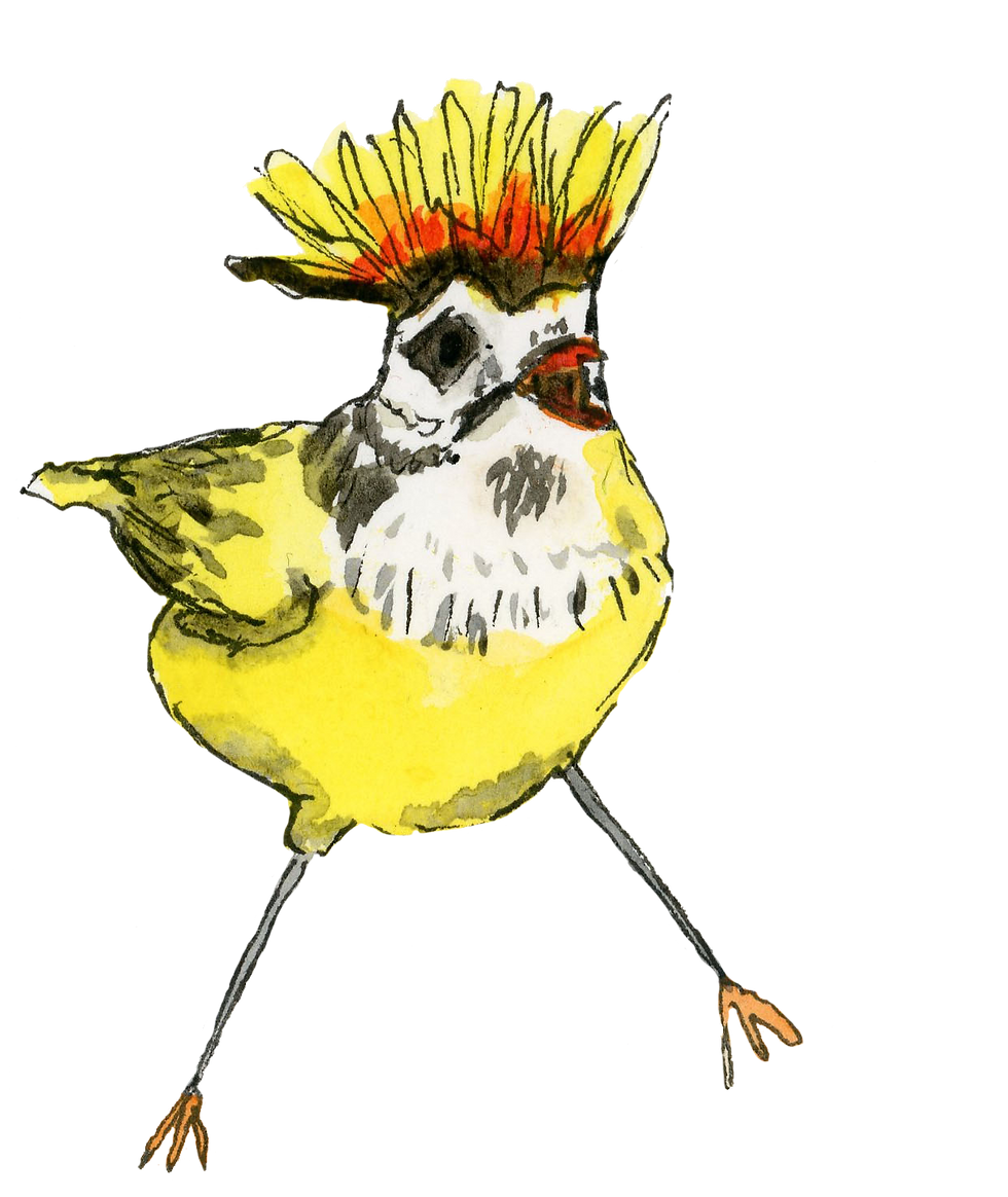 Illustration