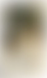 O PEREGRINO( JOHN BUNYAN )