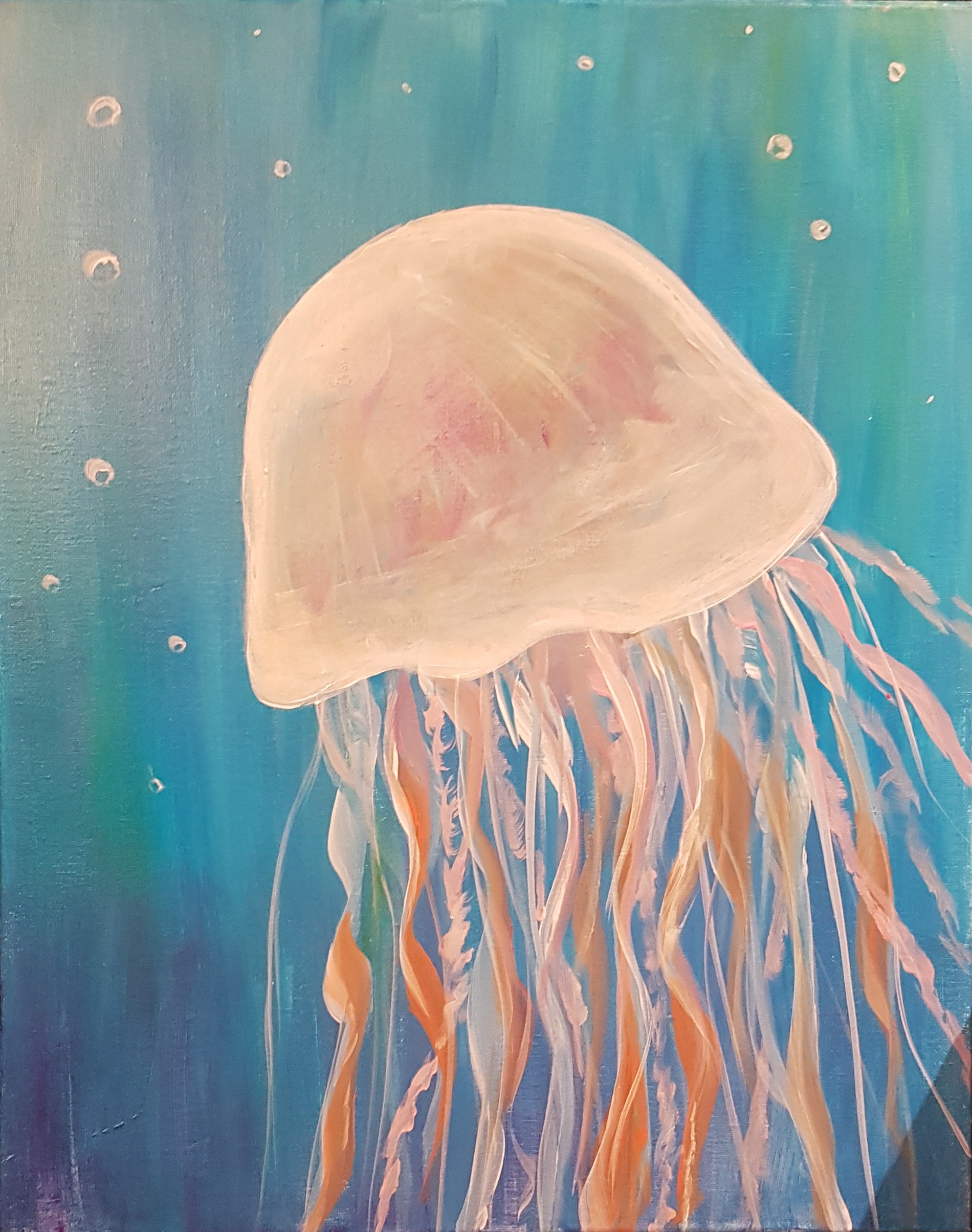 Jellyfish