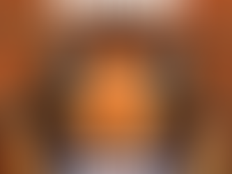 FRELON ASIATIQUE  plan d action camping 