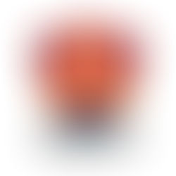 Cambridge City FC join The England Amputee Football League