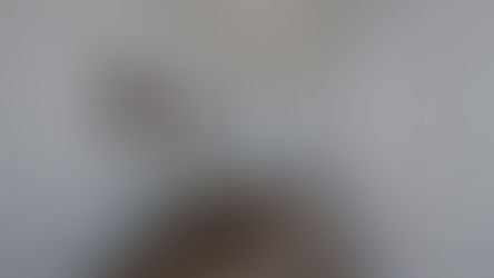 Decoración? Mi mejor aprendizaje: Render!