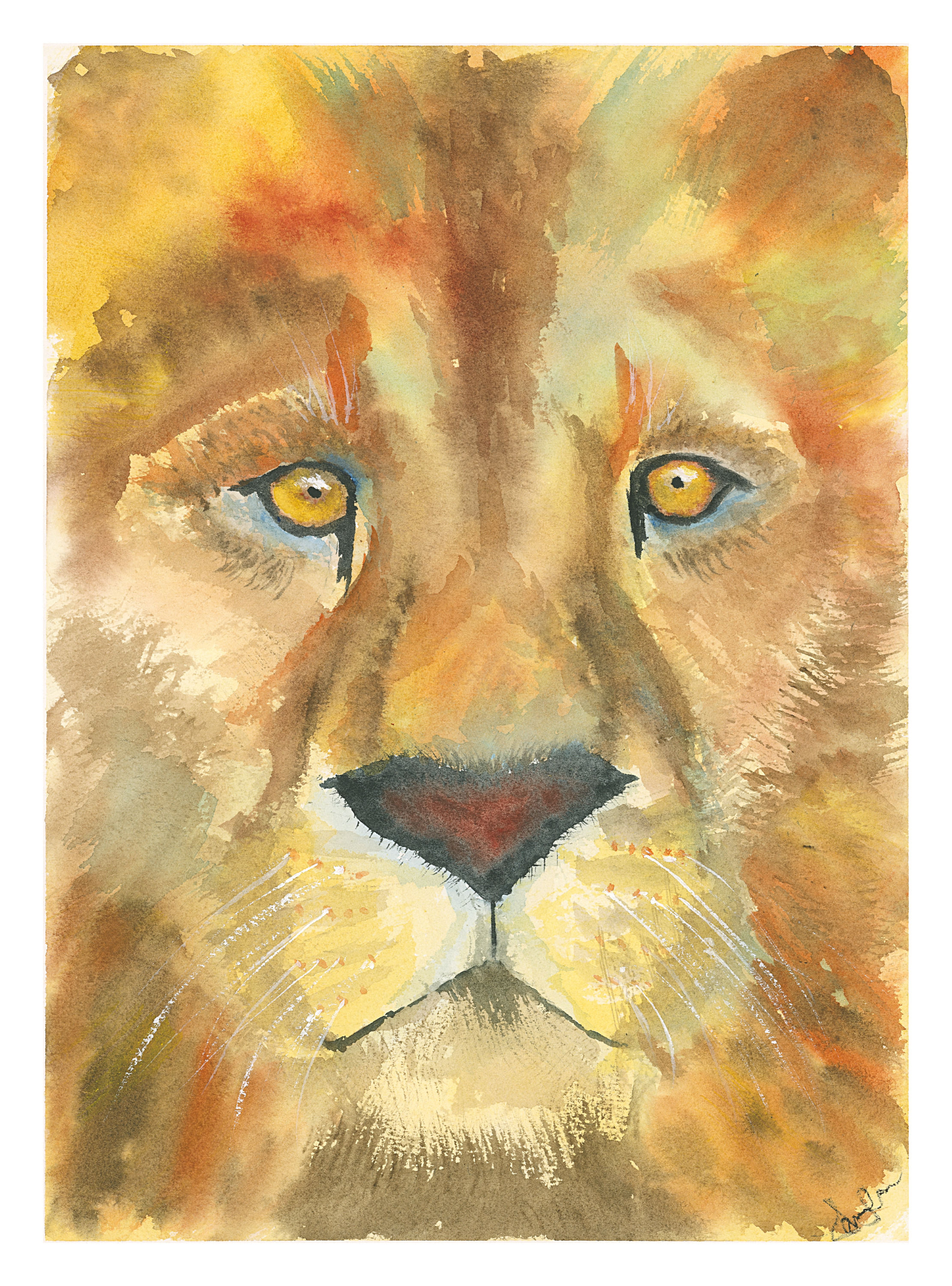 Lion Print
