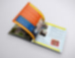 Larne High Prospectus Page