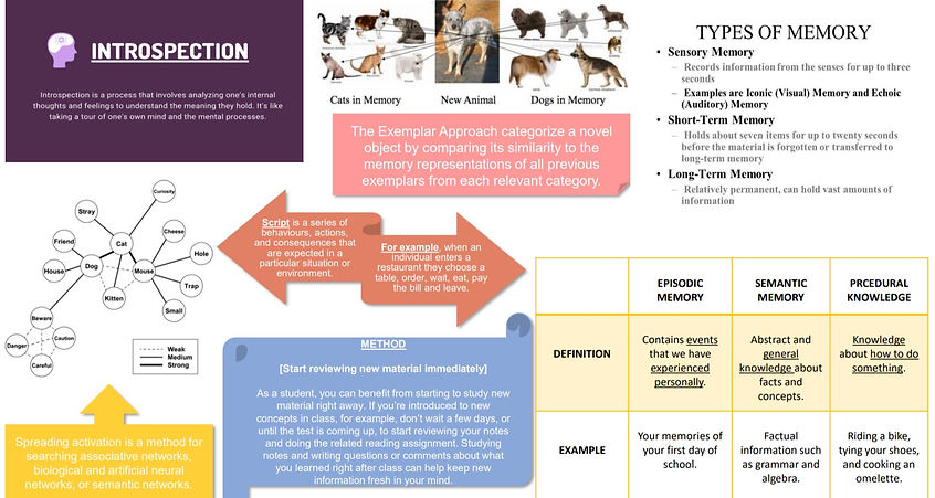 Screenshot (44)_edited.jpg