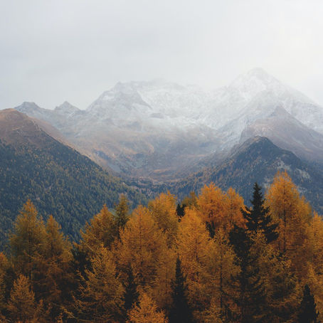 5 BUITENACTIVITEITEN OM DEZE HERFST TE PROBEREN