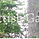 Learn Gaelic
