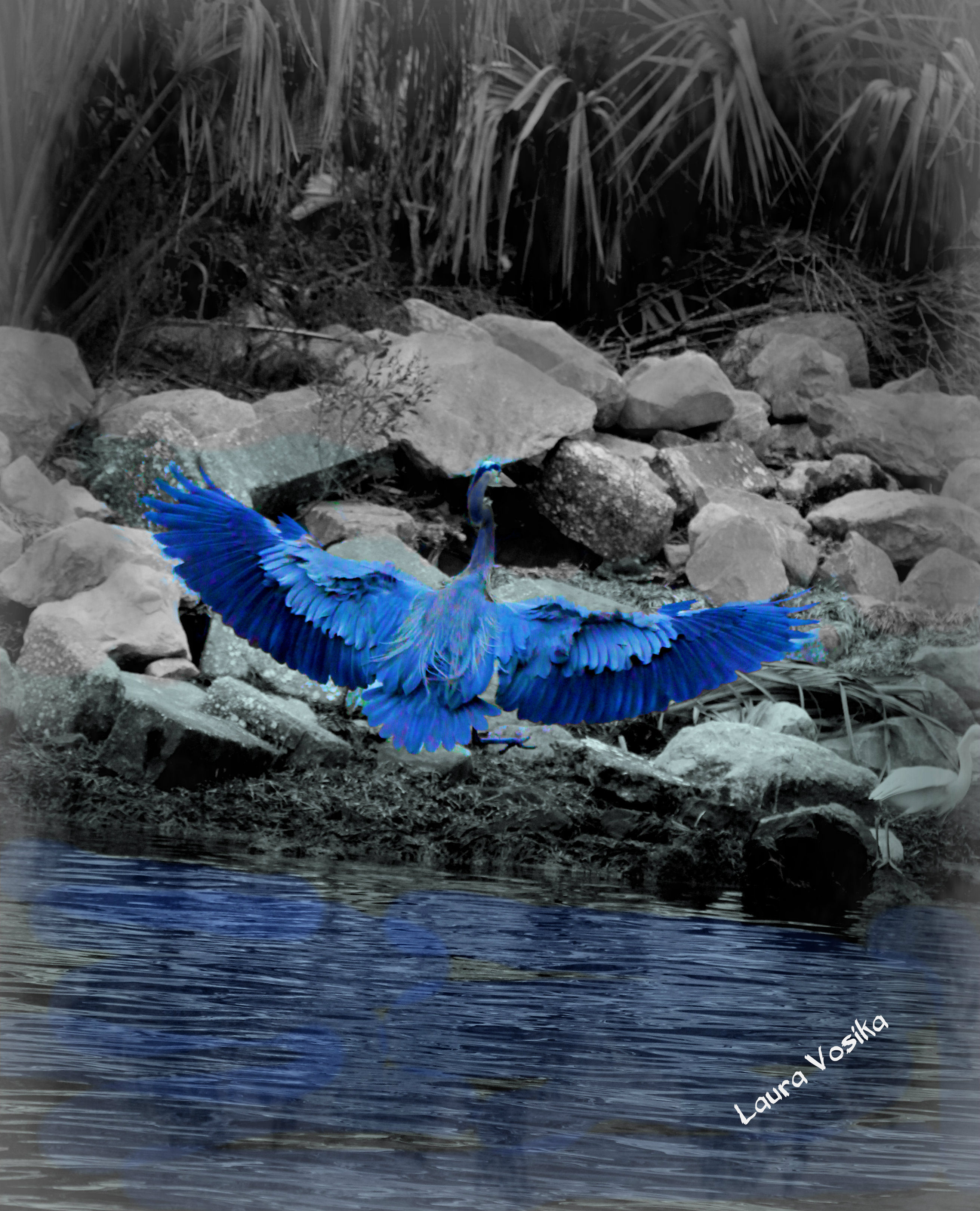 Bird in Flight Blue