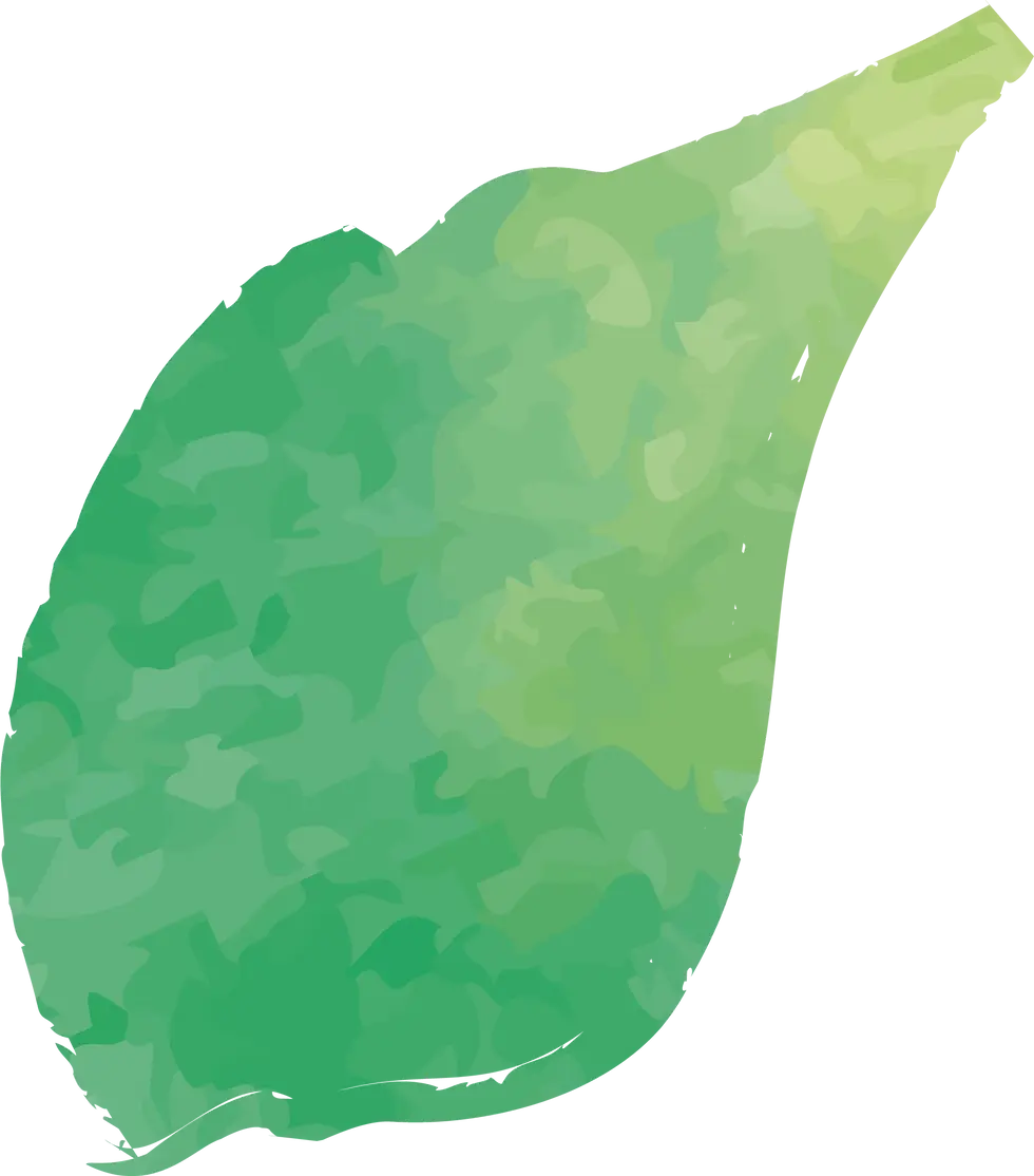 qev.webp
