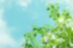 25786807_m.webp
