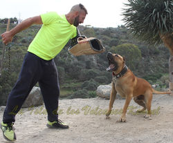 "GRINGO de la Isla de los Volcanes"