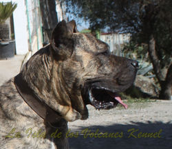 "RUSSO de la Isla de los Volcanes"