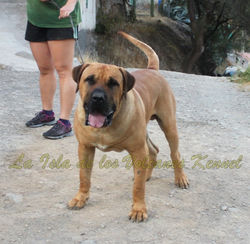 "JORDAN de la Isla de los Volcanes"