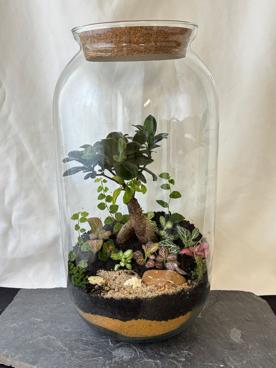 Terrário de vidro com mini plantas e decoração