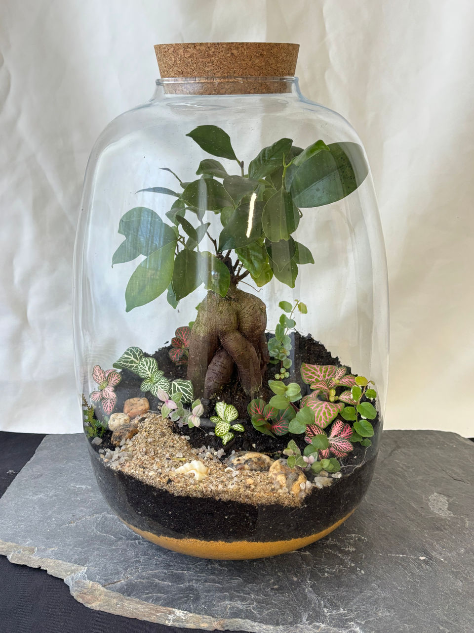 Terrário de vidro com plantas