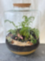 Terrário de vidro com samambaias e suculentas