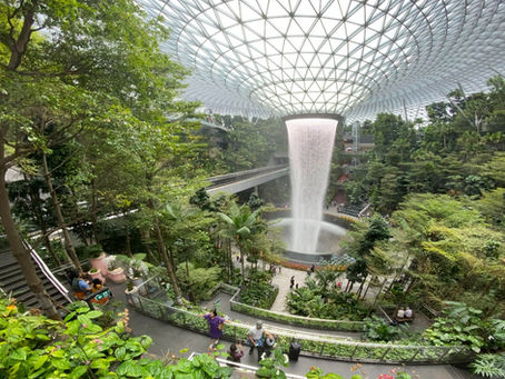 What to eat at Jewel Changi Airport?