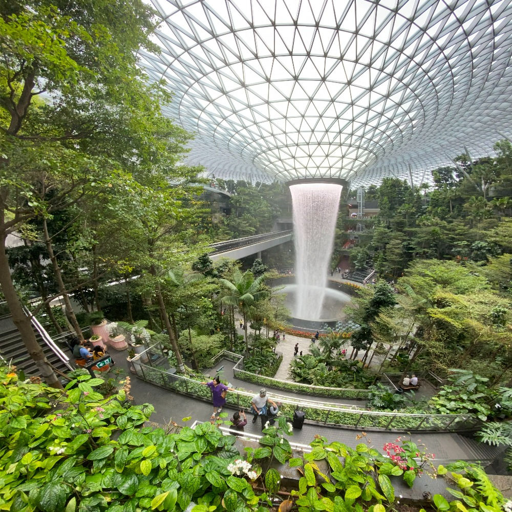 What to eat at Jewel Changi Airport?