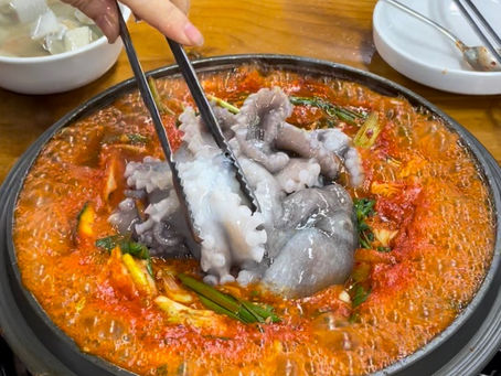 Octopus Hot Pot, a Korean delicacy not for the faint-hearted