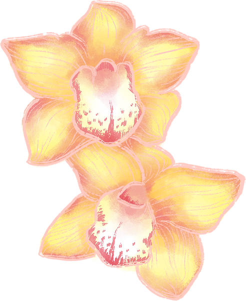 Flores da orquídea