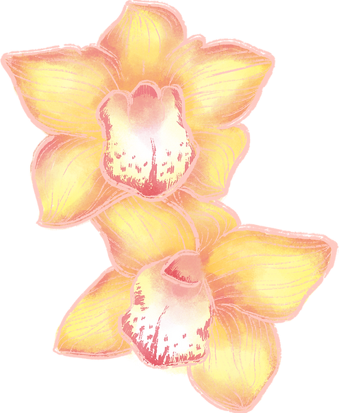 Flores da orquÃdea
