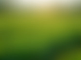 Exploring Our Sustainable Farming Practices at Clover Leaf