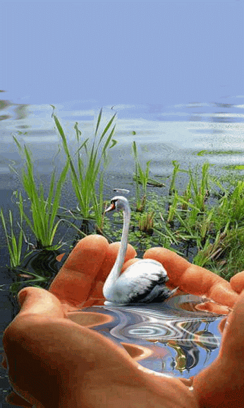 annazabozhko47_pindown.io_1783042014.gif