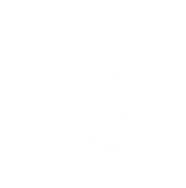 11.png