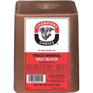 Red Trace Mineral Salt Brick