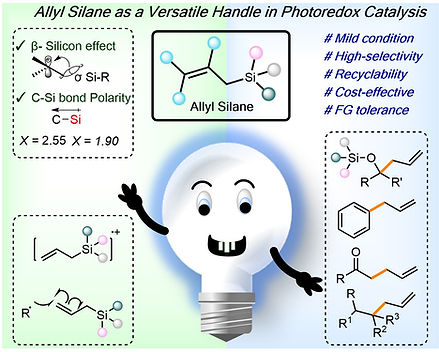toc allyl silane_edited.jpg