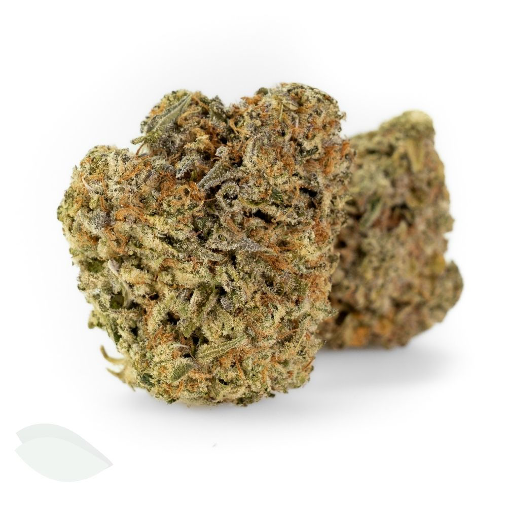 Macro close-up of Lime Sorbet AAA indica flower showing resinous texture