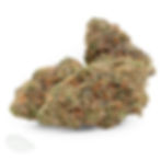 Three dense Pure Michigan buds on white background