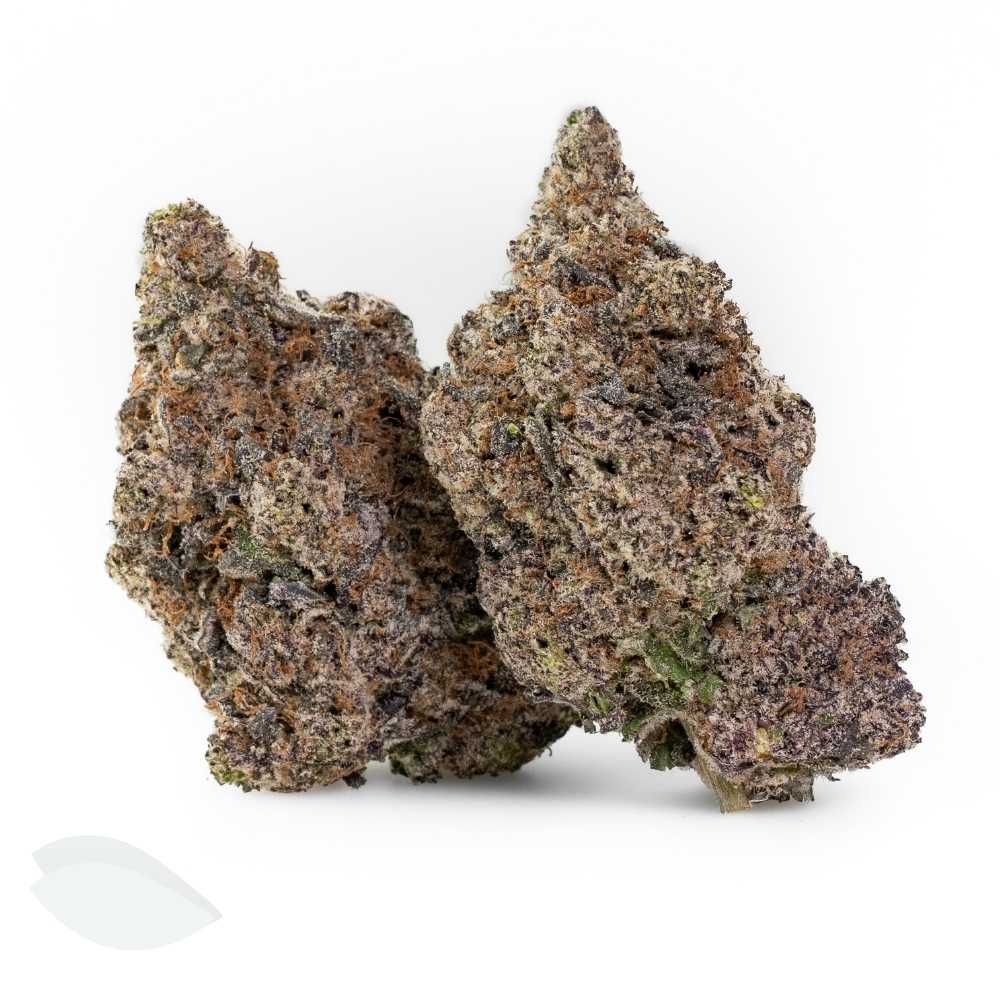 Black Scotti harvested flower, as labeled by the cited photo source