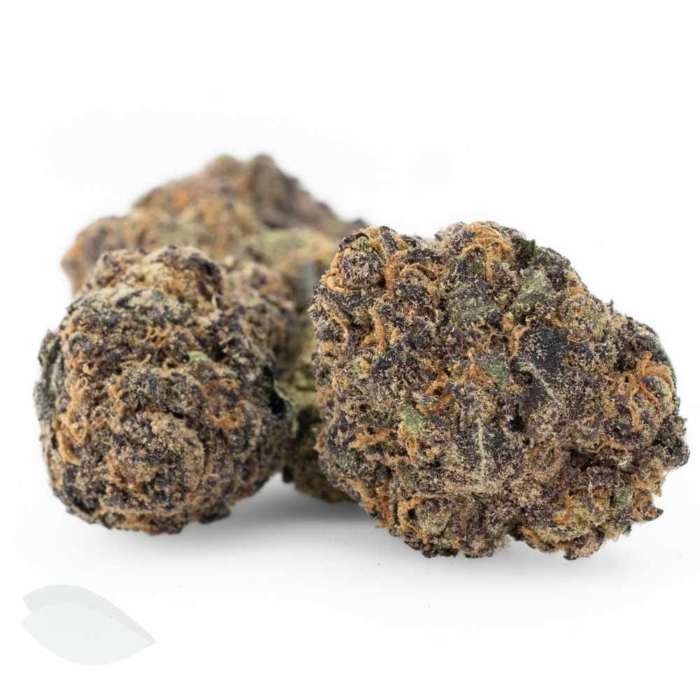 Two Purple Trainwreck buds with purple tones, green highlights, and vibrant orange pistils.