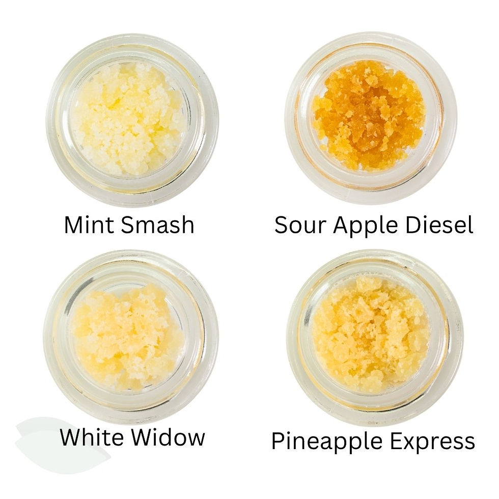 Thumbnail: An overhead comparison of four Vior Wax strains in open jars, showing the varying textures and colours