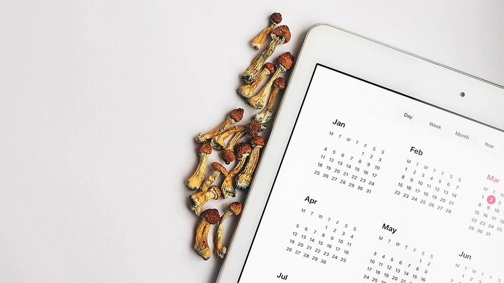 Psilocybin Microdosing 101