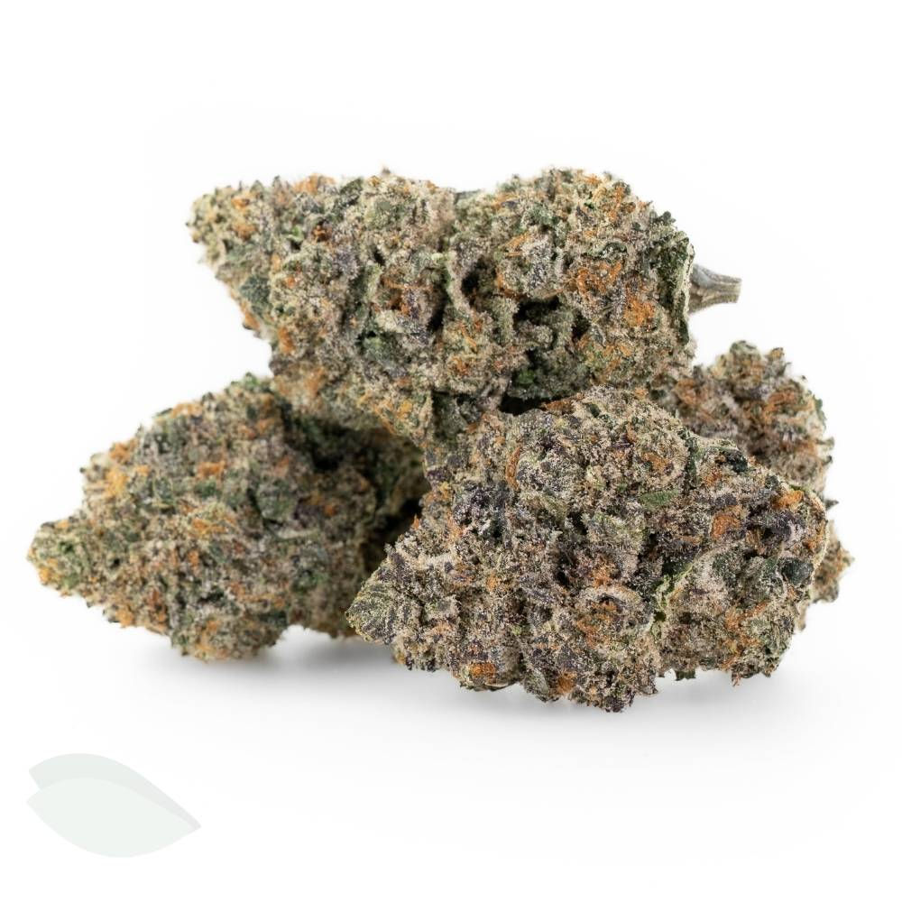 Three large cleanly manicured buds of Wedding Cake Indica strain