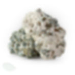 Profile shot of dried Omni Melmac mutation mushrooms illustrating the dense, stemless growth