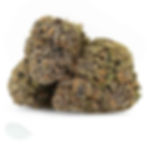 Close-up of dense Sunset Runtz cannabis buds with rich purple tones and vibrant orange hairs.