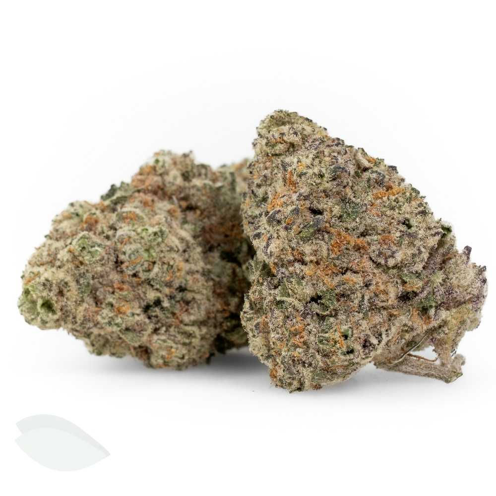 Macro of Skywalker Hybrid cannabis buds, neatly trimmed and heavily dusted in crystals.