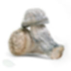 Lucid Gates Magic Mushrooms with cloud-white stems, speckled with deep blue bruising