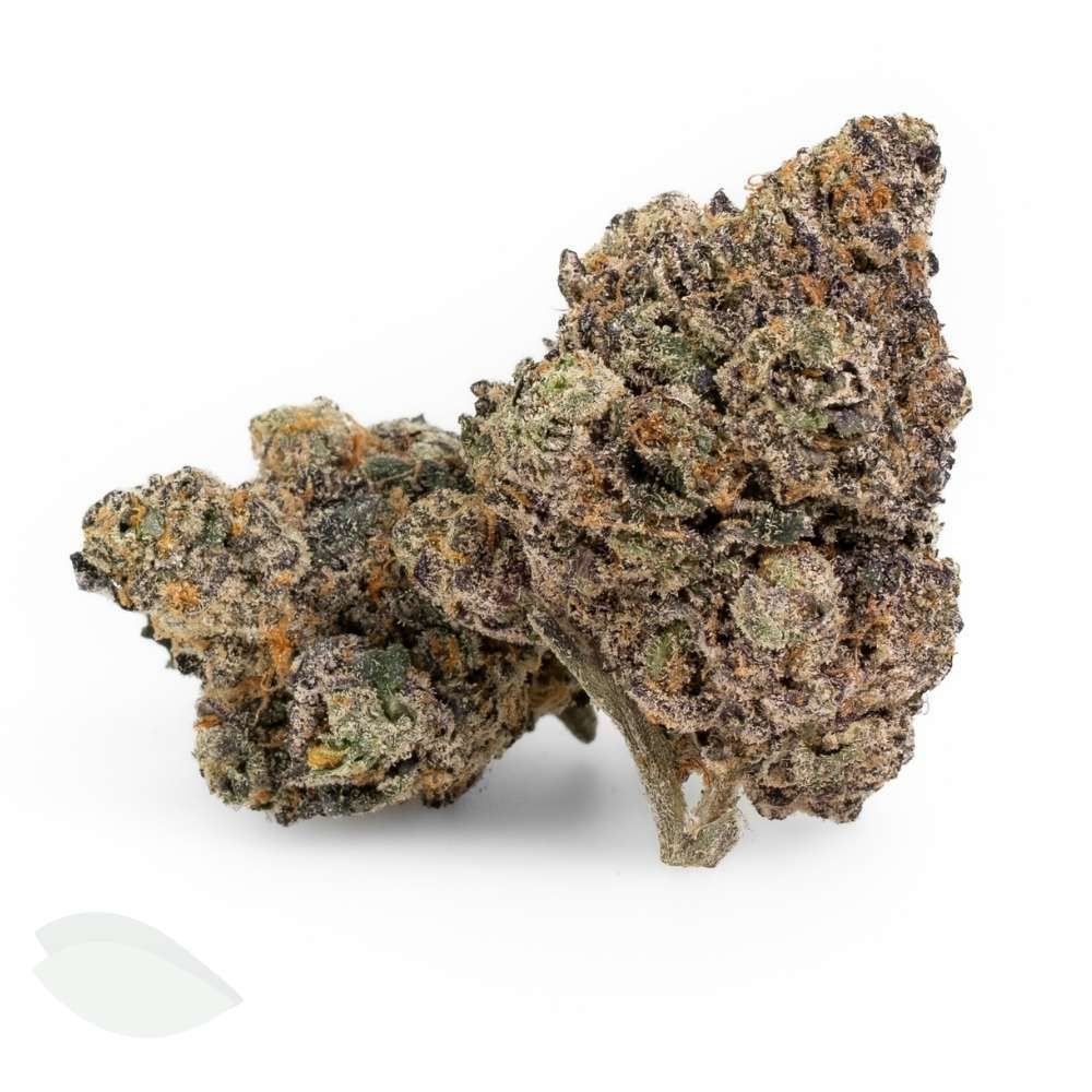 Two overlapping buds of AAA+ Permanent Marker indica.