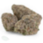 Trio of cured Pink Starburst buds displaying purple hues and LSO structure.