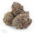 Close-up of dense Grape Stomper cannabis buds, showcasing deep purple and green hues
