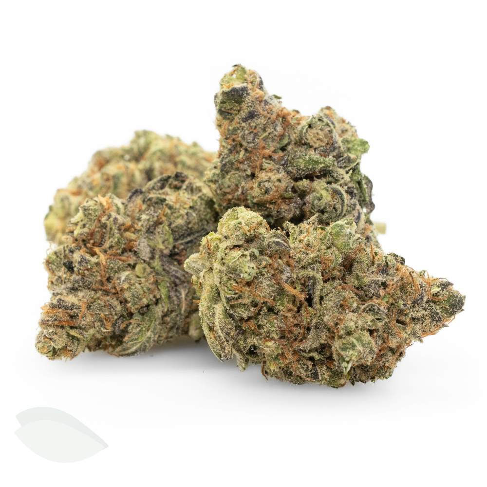 Close-up of Unicorn Poop hybrid cannabis flower with vibrant green and purple buds